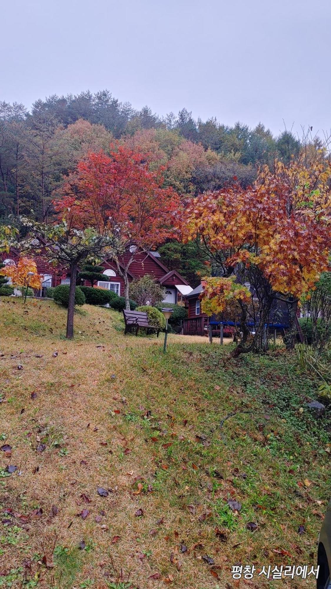 Sisilli Pension Pyeongchang Exterior photo