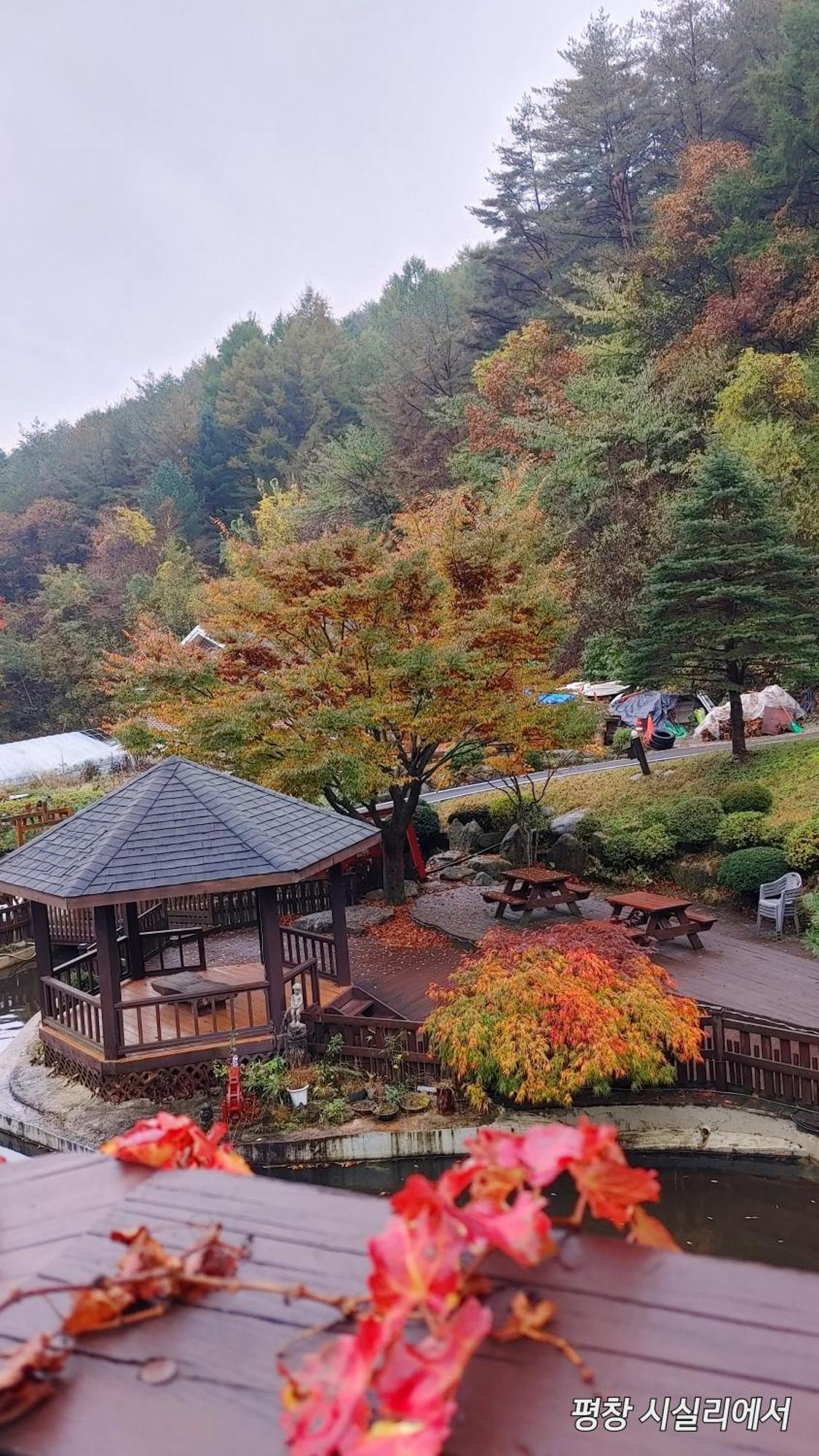 Sisilli Pension Pyeongchang Exterior photo